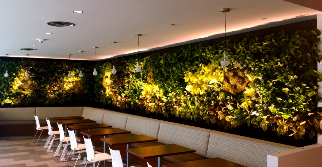 Grüne Wand in Hydrokultur, verschiedene Systeme für Wandbegrünung, Raumbefeuchtung, Living Wall, Grüne Wand nach Mass, Lebende Wand, vertical green, Region Augsburg